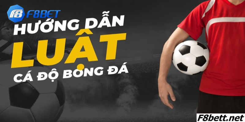 Tổng hợp luật cá độ bóng đá ở Việt Nam