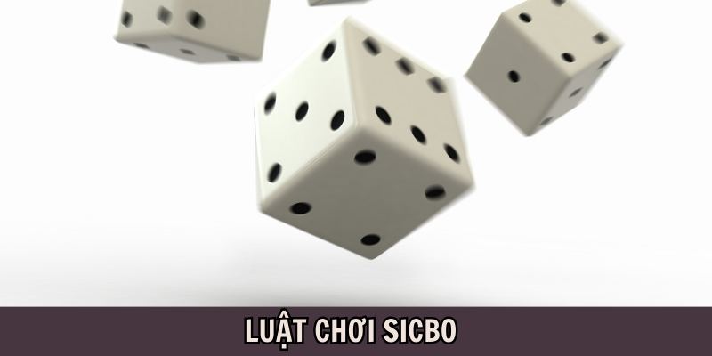 Tìm hiểu chi tiết về luật chơi Sicbo và những điều cần biết